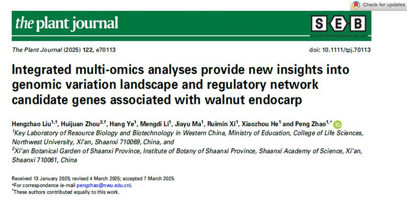 图形用户界面, 文本, 应用程序 AI 生成的内容可能不正确。