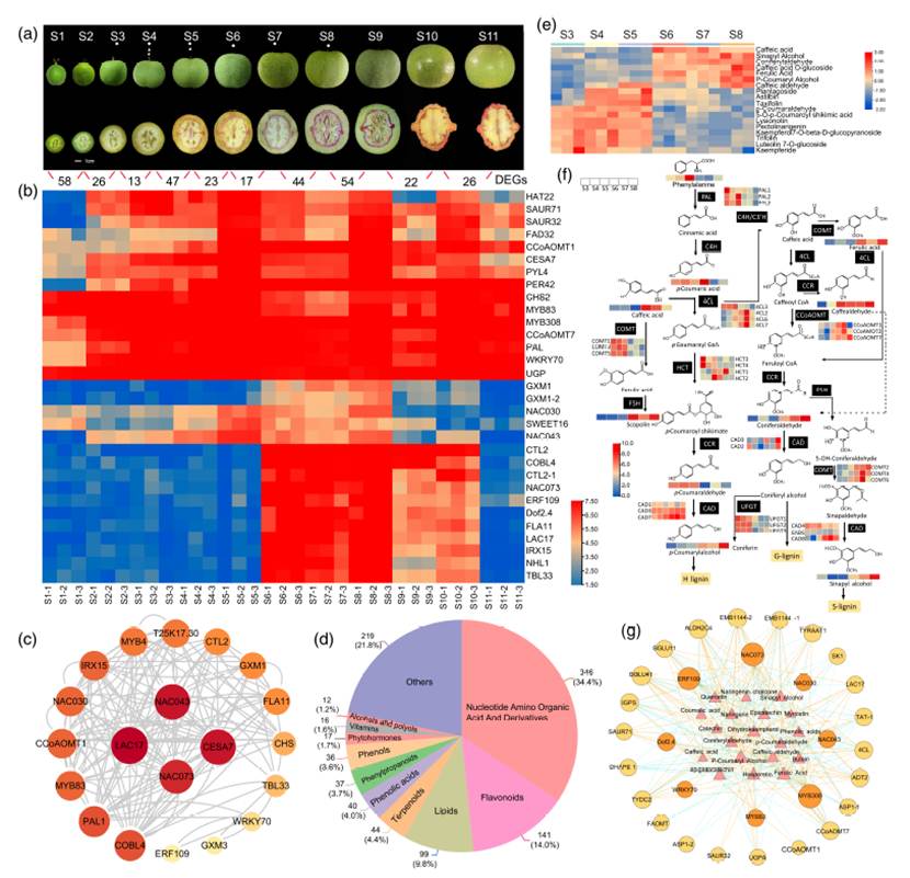 图表 AI 生成的内容可能不正确。