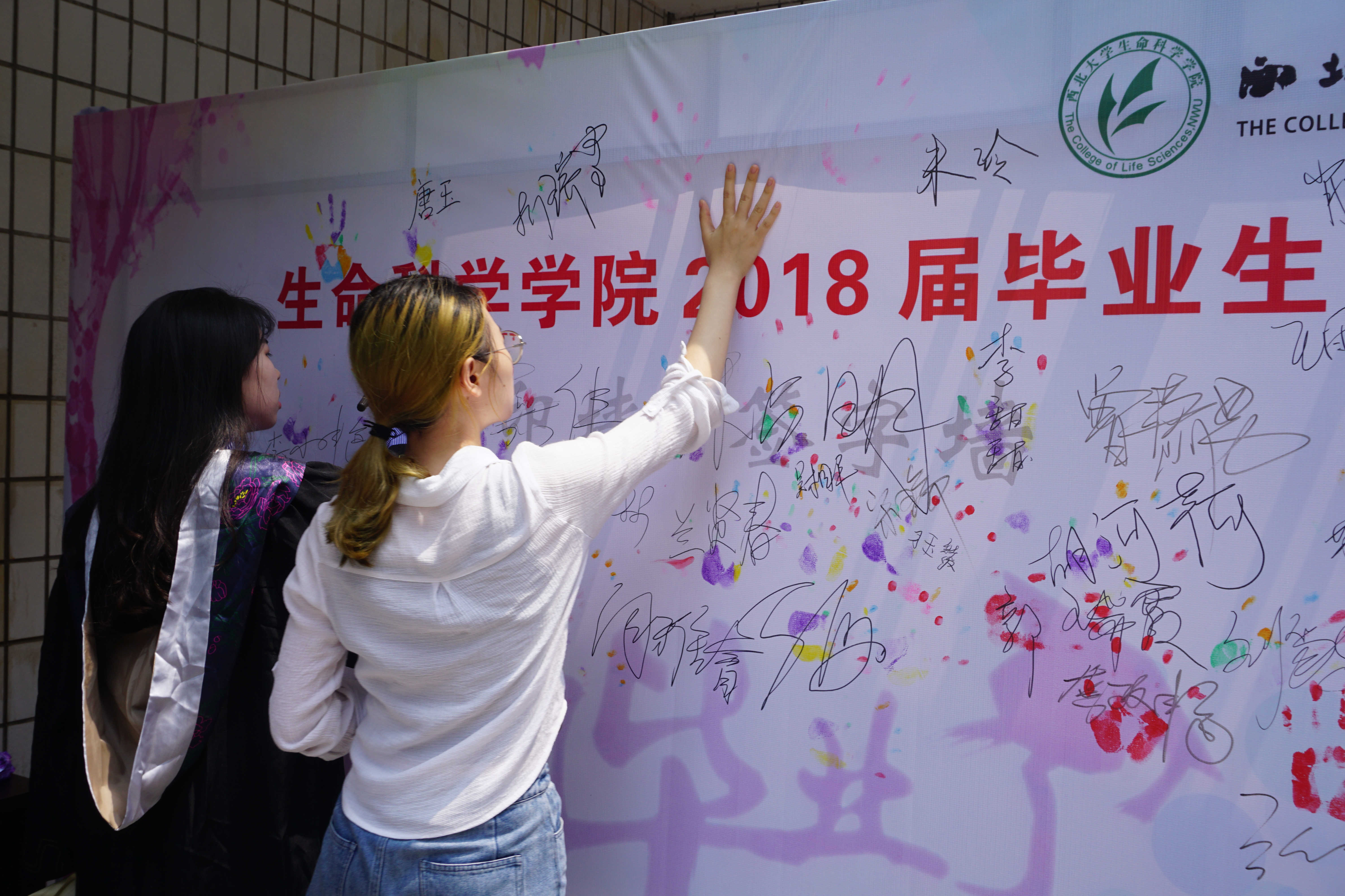 图片12.jpg