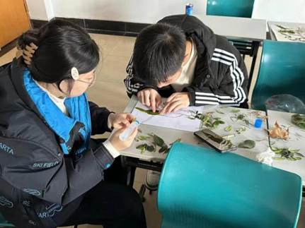 mmexport1741328202941